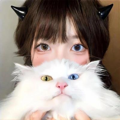 雌雄双谍